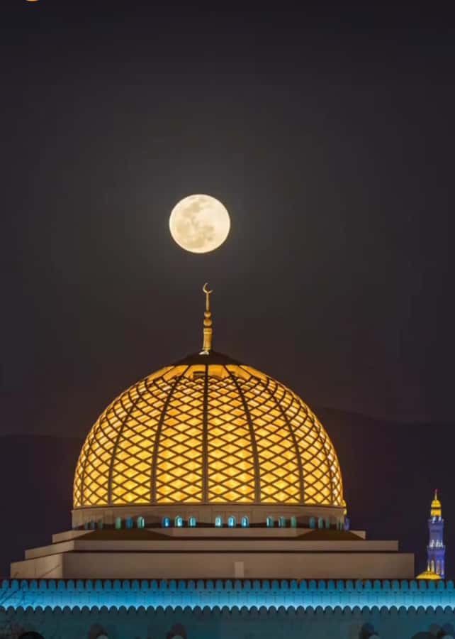 Muscat: Guided Landmarks Tour - Mutrah’s fish market and Corniche
