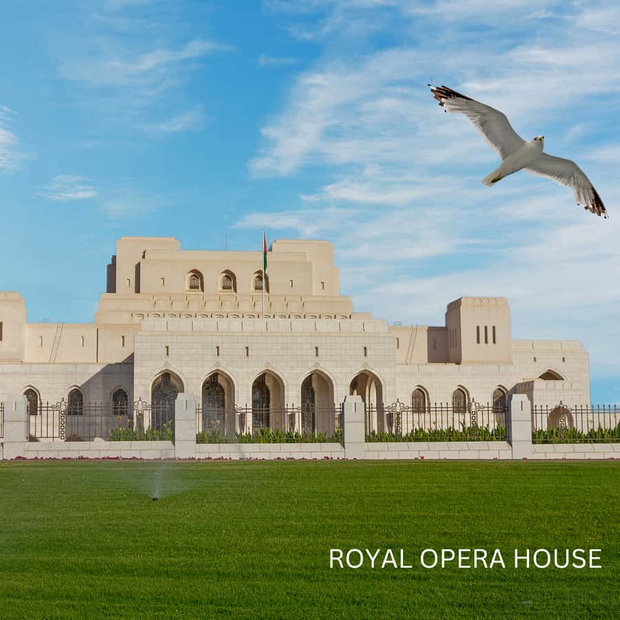 Muscat: Half-Day City Tour - Who will enjoy this tour most
