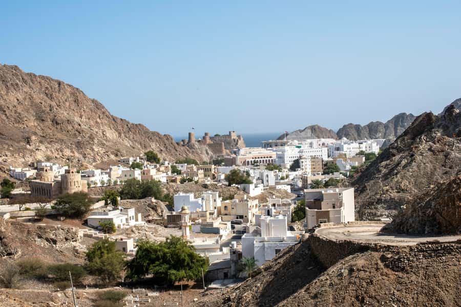 Muscat: Half Day-City Tour - Timing, pickup, and comfort
