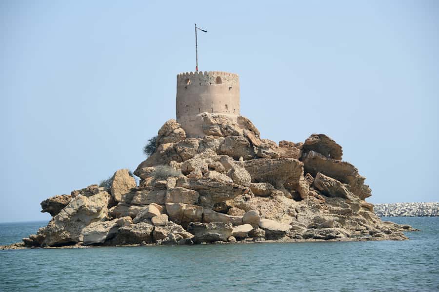 Muscat: Half-Day Guided City and Oman Coast Tour - Who should book this Muscat tour?