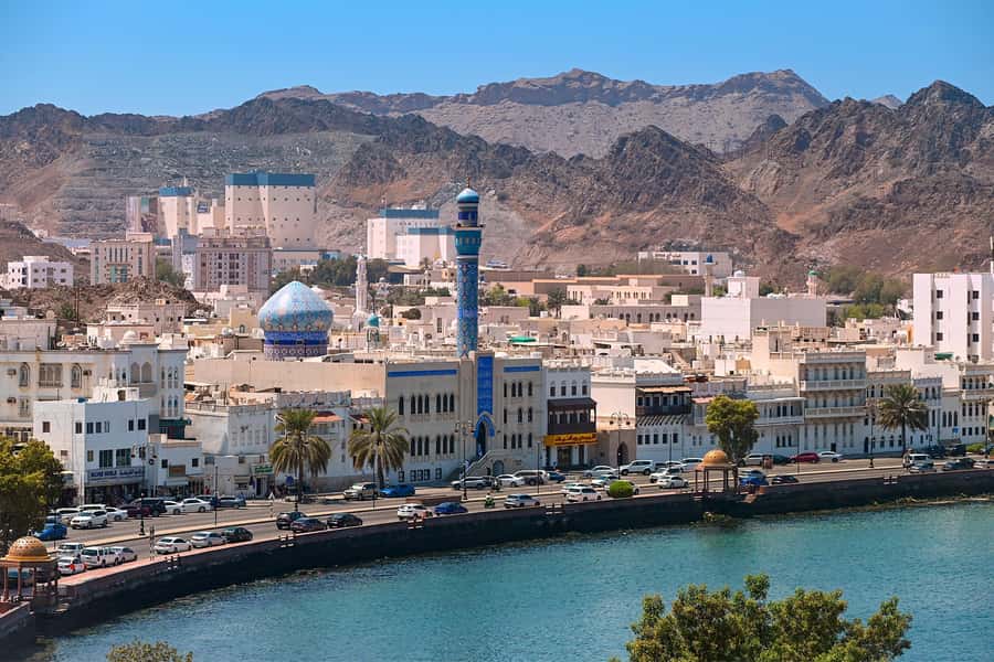 Muscat: Half-Day Sightseeing Essentials Tour and Audio Guide - The fish market: brief, local, and not everyone’s favorite