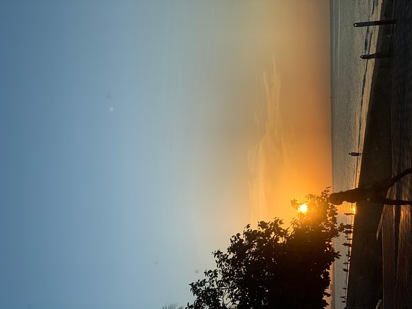 Muscat : Half day visit to Muscat - Why an evening visit works well in Muscat