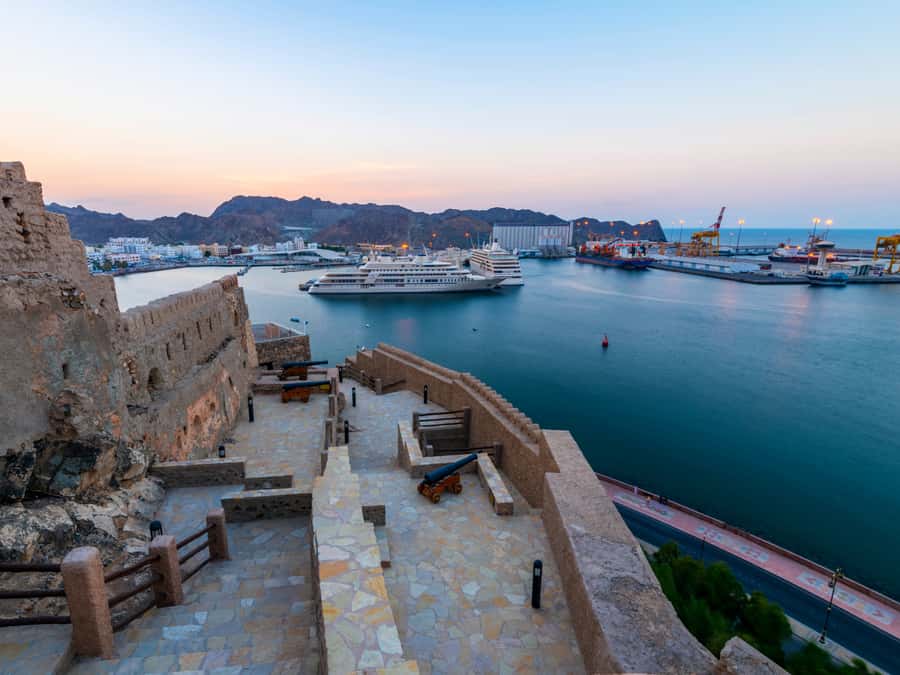 Muscat Marvels: Luxury Tour with Customizable Itinerary - What the vehicle and guide add