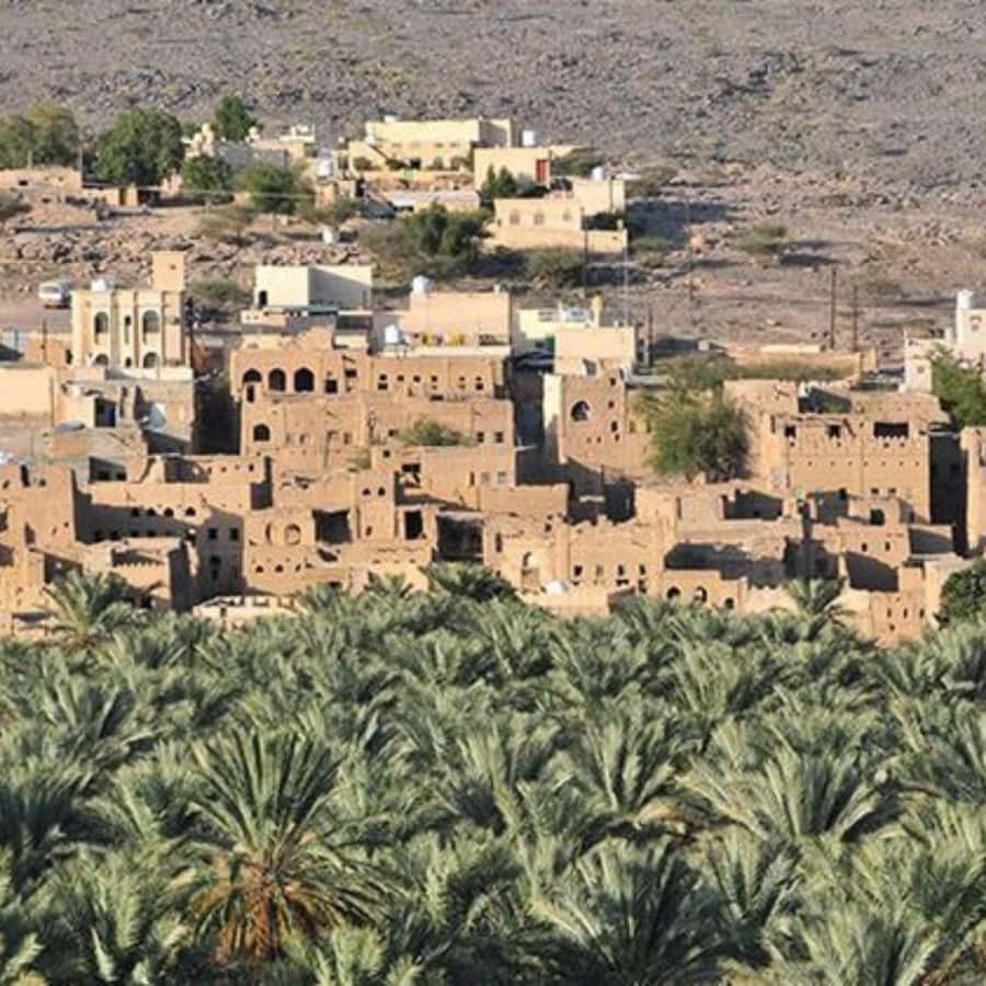 Muscat: Nizwa and Jabal Shams- Full Day Tour - Jabal Shams and the Grand Canyon of Arabia