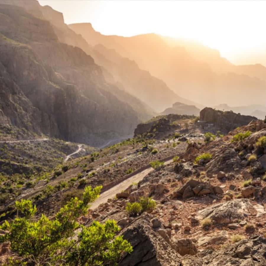 Muscat: Nizwa and Jabal Shams- Full Day Tour - Nizwa Souq: a calmer first taste of local life