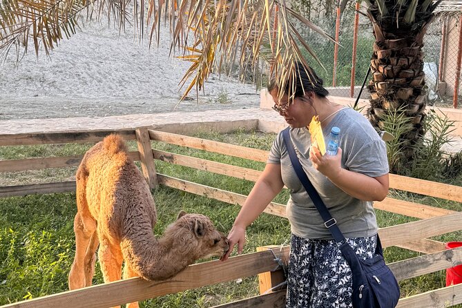 Muscat: Nizwa Market & Fort, Jabel Akhdar Full-Day Tour + Lunch - Jabal Akhdar: four hours among farms and mountain villages