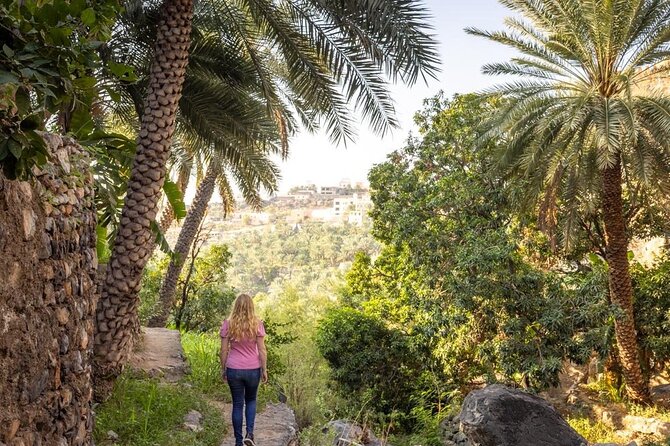 Muscat: Nizwa Market & Fort, Jabel Akhdar Full-Day Tour + Lunch - Nizwa Souq: begin with Oman’s everyday culture