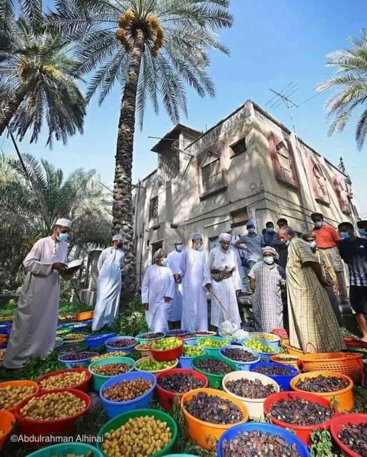 Muscat Oman Grand Canyon, Jebel Shams & Nizwa - Key points to know before booking