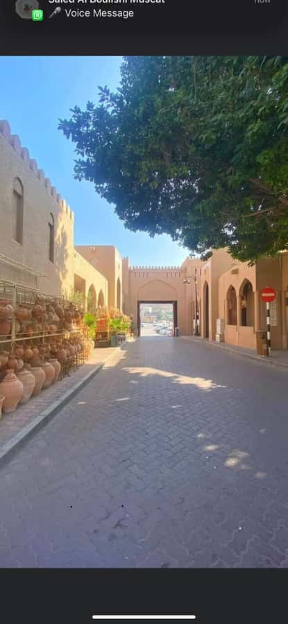 Muscat Oman Grand Canyon, Jebel Shams & Nizwa - What the 4WD and guide add