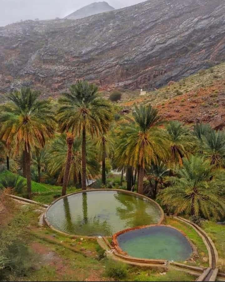 Muscat Oman Grand Canyon, Jebel Shams & Nizwa - Who should book this tour?