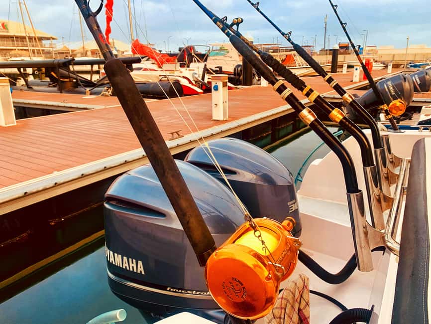 Muscat Oman: Snorkeling adventure to Daymaniyat Island - Should you book Royal Marine Tours?