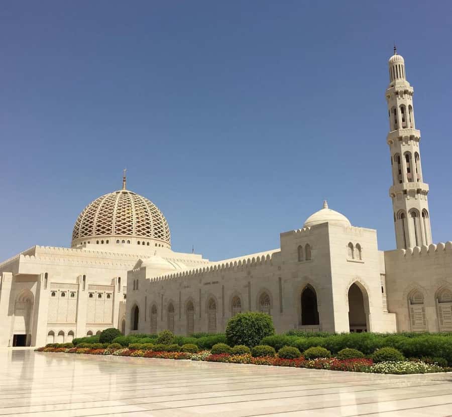 Muscat Private city tour 2025 (local's life) - Beaches, scenic drives, and photo stops