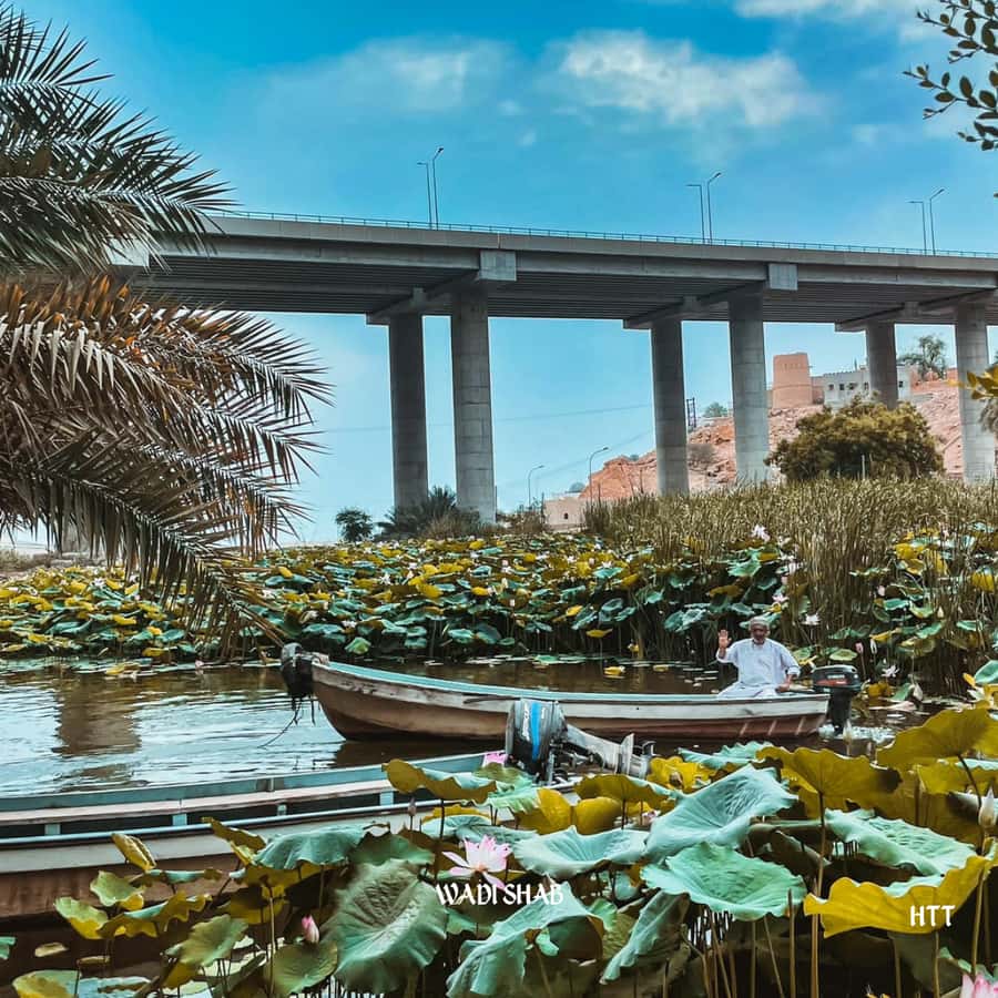 Muscat: Quriyat, Bimmah Sinkhole, & Wadi Shab Coastal Tour - Why this coastal day trip works