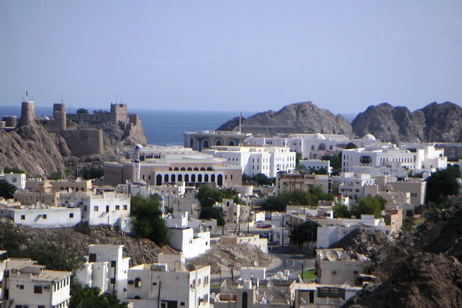 Muscat Shore Excursion: Private City Highlights Tour - Is $169 per person a fair price?
