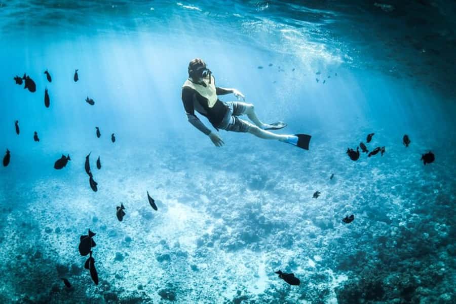 Muscat: Snorkeling and Dolphin Watching Tour - Leaving Muscat Behind at Marina Bandar Al Rowdha