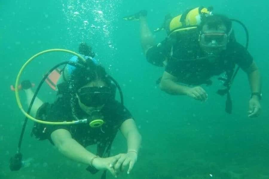 Muscat: Snorkeling and Dolphin Watching Tour - Swimming Time Keeps the Tour Active