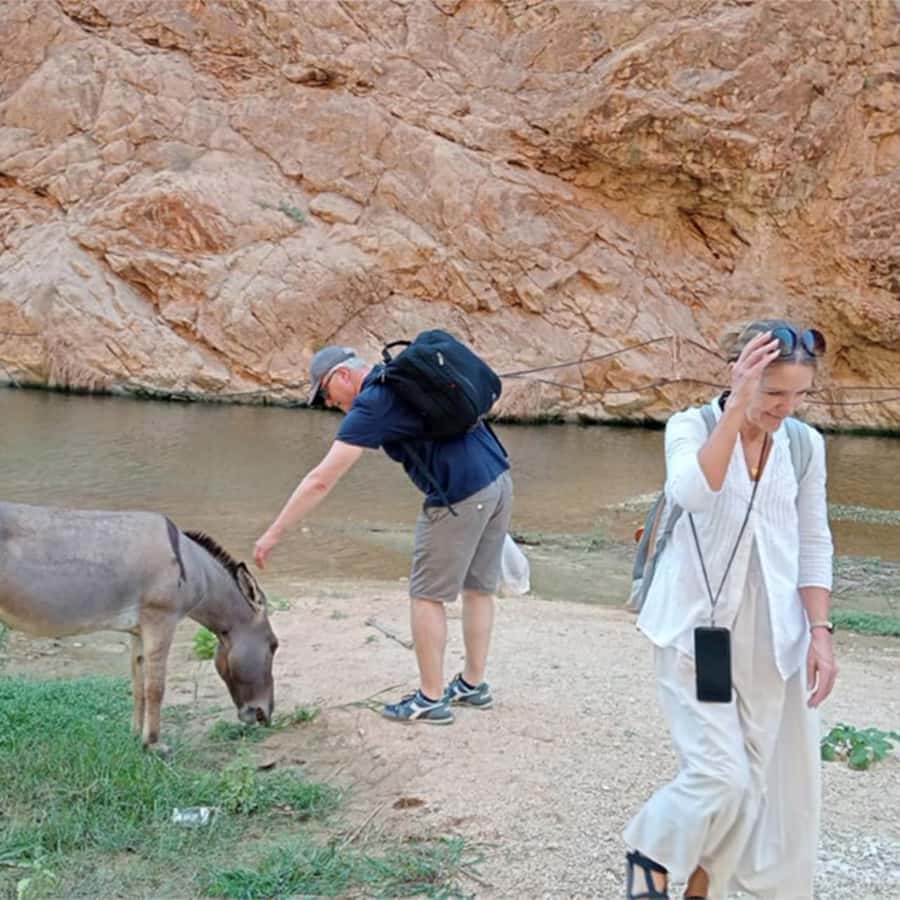 Muscat: Southern Treasures & Wadi Shab Tour with Audio Guide - The guide can shape the whole day