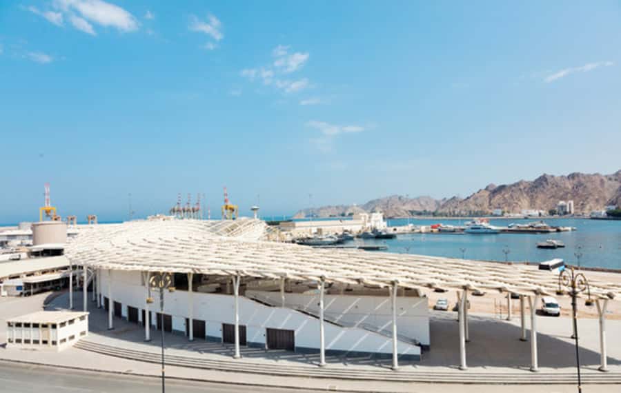 Muscat: Sultan Qaboos Mosque & Bait Al Zubair Museum Tour - The guide, vehicle, and pace