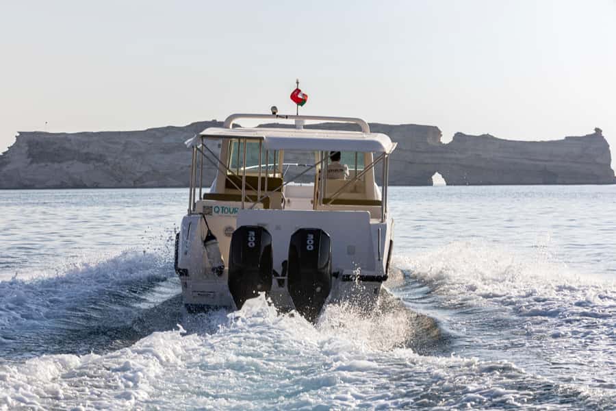 Muscat: Sunset Cruise with Al Jalali Fort and Mirani Fort - Al Alam Palace and the royal waterfront