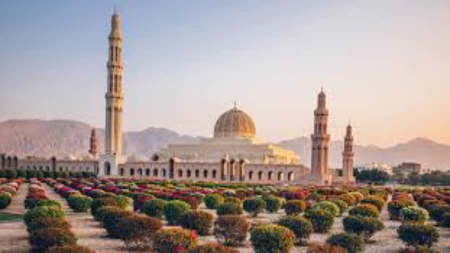 Muscat Tour: Around Muscat. Privat tour - Key points to know before booking