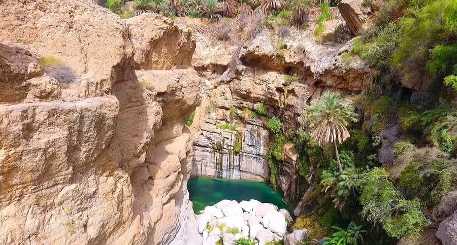 Muscat: Wadi Mibam Private Full Day Tour by 4x4 car - Lunch in Wadi Tiwi and the value of a private vehicle