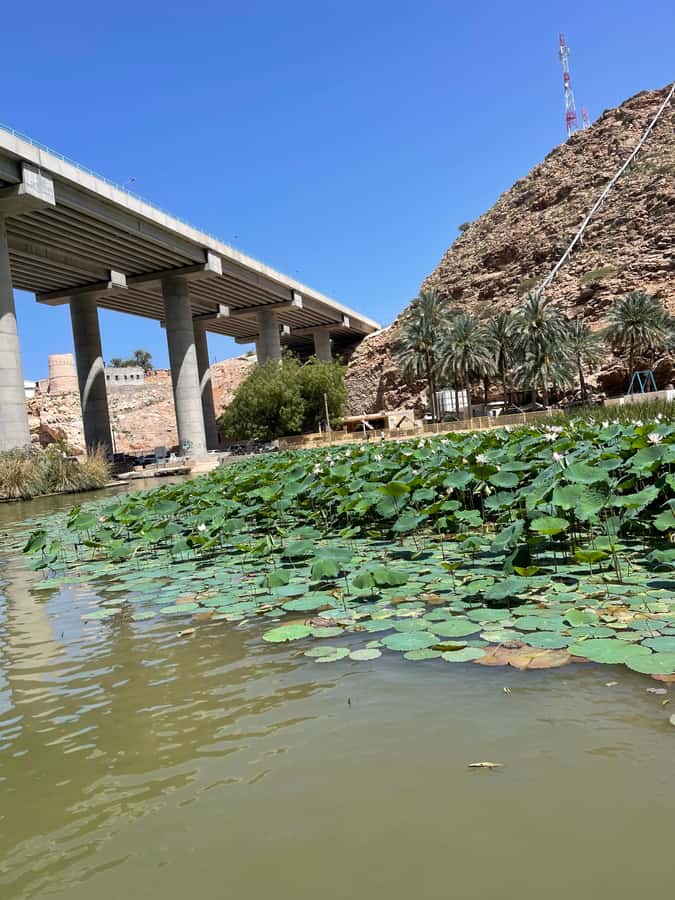 Muscat: Wadi Shab, Romantic Cave and Sinkhole Full-day Trip - The Romantic Cave and heart-shaped stop