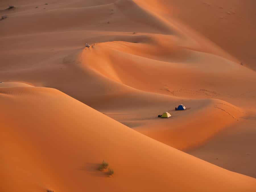 Muscat: Wahiba Sands Desert Sunset Tour with Dinner - The 4x4 ride is the main event