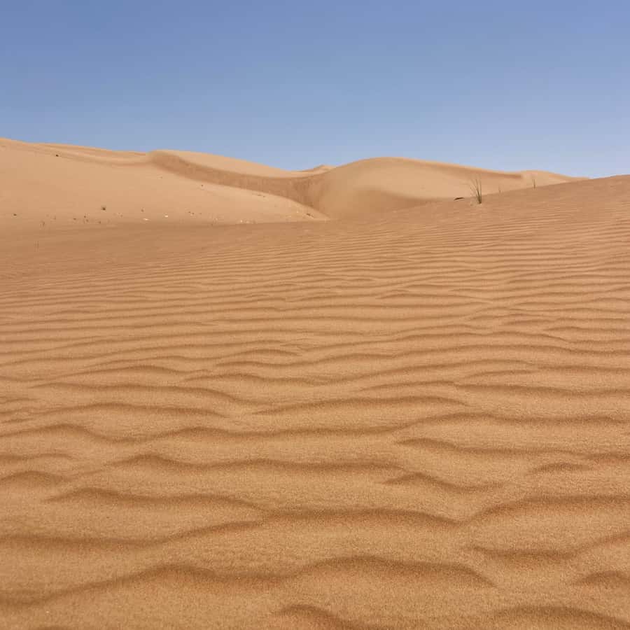 Muscat: Wahiba Sands Desert & Wadi Bani Khalid Full Day Tour - Riding across the Wahiba Sands