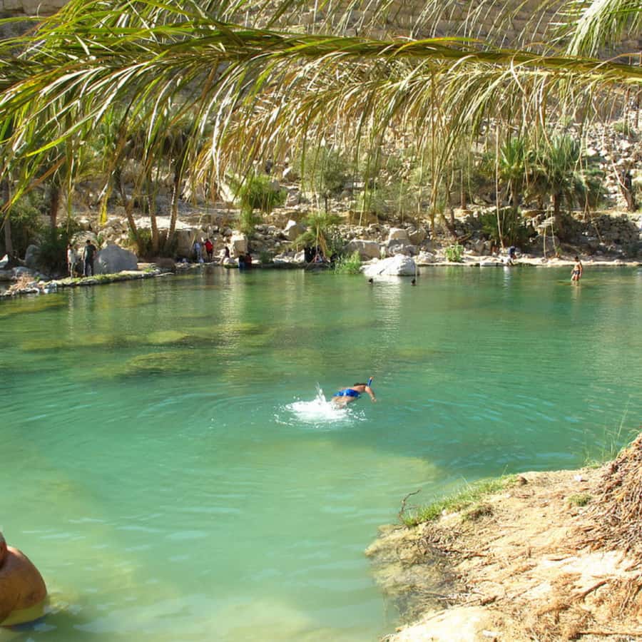 Muscat: Wahiba Sands Desert & Wadi Bani Khalid Full Day Tour - What $180 buys you