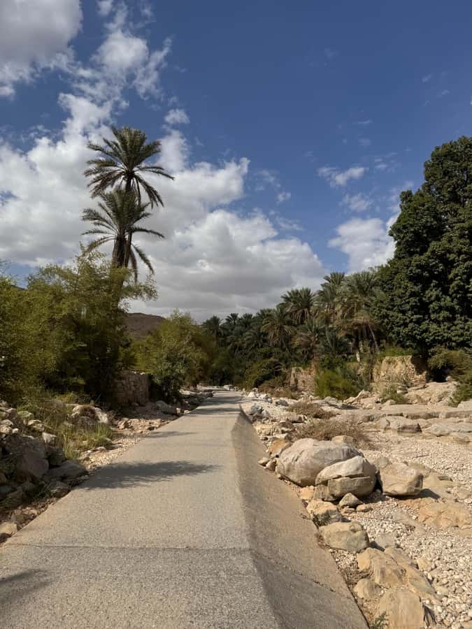 Muscat: Wahiba Sands & Wadi Bani Khalid Full-Day Tour+Lunch - Who should book this tour?