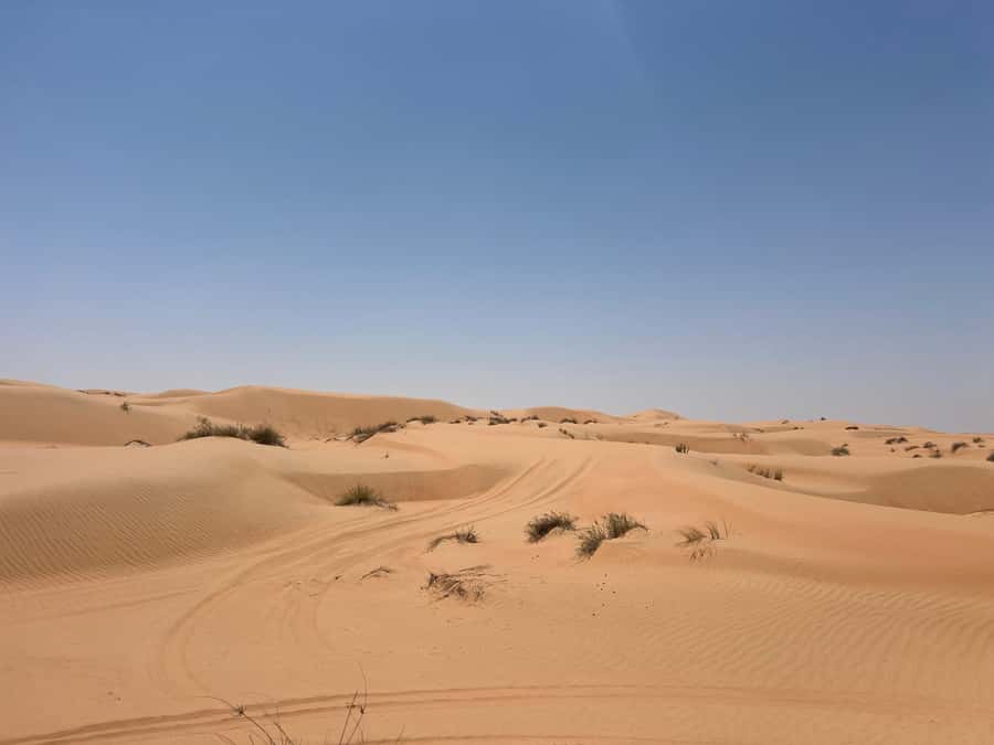 Muscat: Wahiba Sands, Wadi Bani Khalid & Mudayrib Tour - Key points at a glance
