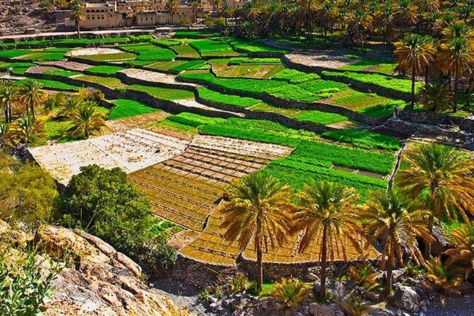 Nakhal Fort-Nakhal Hotspring-Wadi Bani Awf-Bilad Sayt - Private Full Day Tour - Wadi Bani Awf and the 4WD mountain road