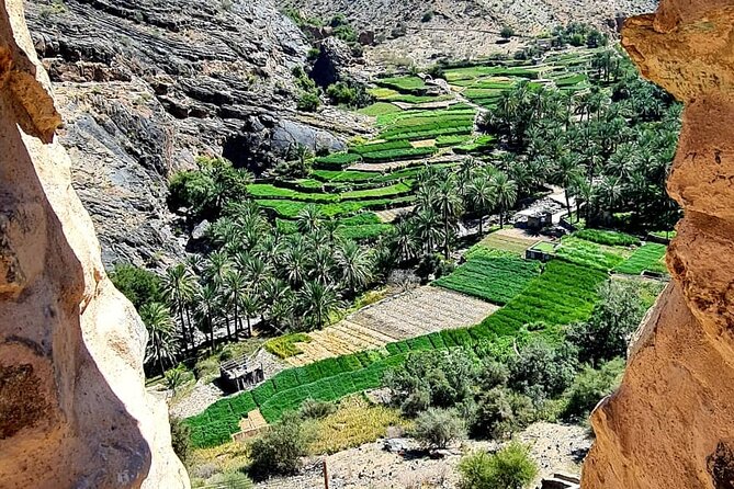 Nakhal Fort-Nakhal Hotspring-Wadi Bani Awf-Bilad Sayt - Private Full Day Tour - What the $202 price includes