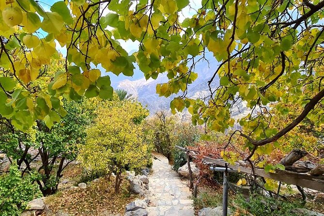 Nakhal Hotspring and Wakan Village Private Full Day Tour - Is $173.60 per person good value?
