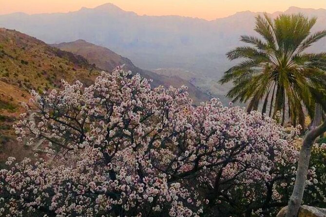 Nakhal Hotspring and Wakan Village Private Full Day Tour - Who should book this Oman day tour?
