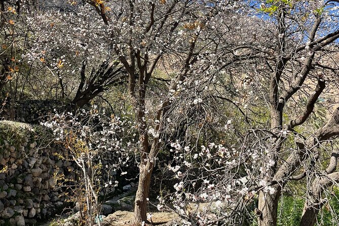 Nakhal Hotspring and Wakan Village Private Full Day Tour - A quiet foot bath at Nakhal hot spring