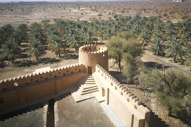 Nizwa and Jabrin day trip (English) - Birkat Al Mauz and the date plantation