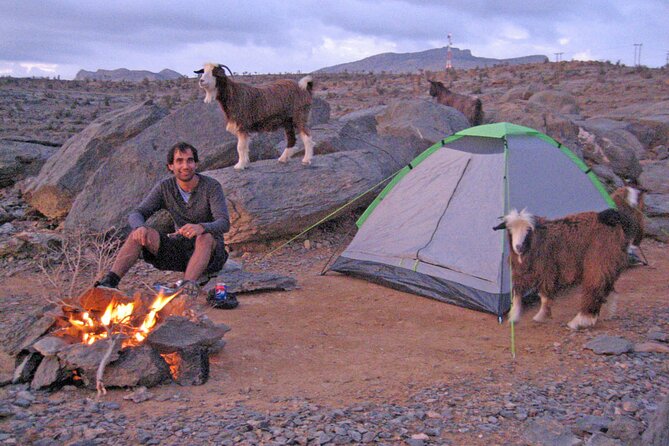 Nizwa and Jebal Shams Grand canyon - Why this Muscat day trip works