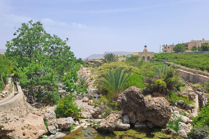 Nizwa and Jebel Akhdar - Why this day trip works
