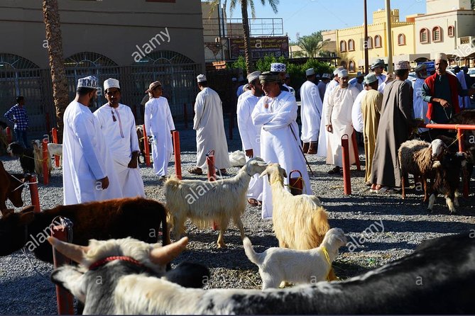 Nizwa Friday Market Jabal Chams - Why the Friday market makes this trip different