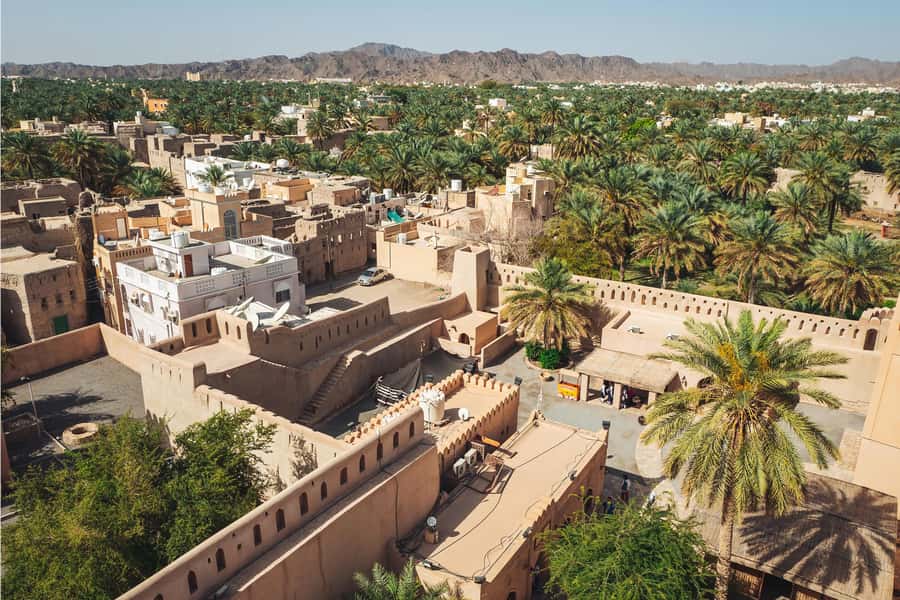 Nizwa Heritage & Culture Full Day Tour with Audio Guiding - Nizwa Souq and the city’s central fort
