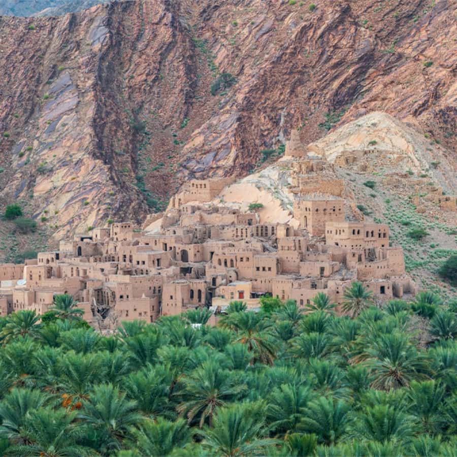 Nizwa Heritage & Culture Full Day Tour with Audio Guiding - Lunch with local food and practical limits