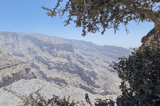 Nizwa Heritage & Jebel Shams Canyon – Private Tour from Muscat - Misfah al Abryeen and the falaj channels