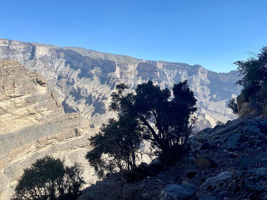 Nizwa: Jebel Shams Balcony Walk and Via Ferrata Adventure - Key points to know before booking