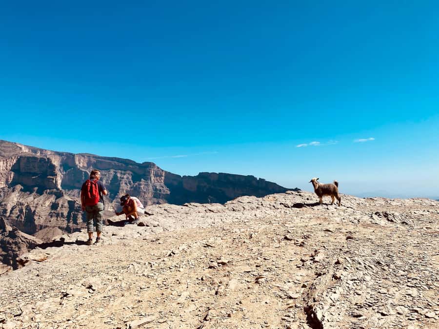 Nizwa: Jebel Shams Balcony Walk and Via Ferrata Adventure - Walking the Balcony Walk to the pool