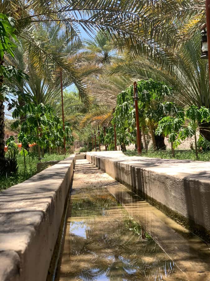 Nizwa: Nizwa Fort and Birkat Al Mouz Guided Tour - Why this Nizwa day trip works