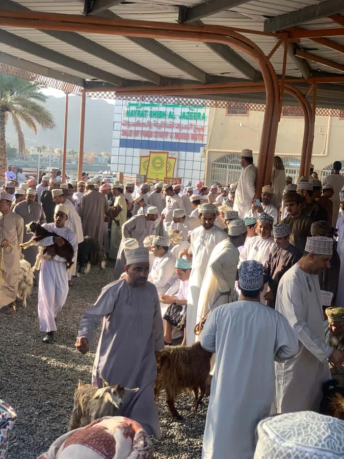 Nizwa: Nizwa Fort and Birkat Al Mouz Guided Tour - Who should book this Nizwa experience?