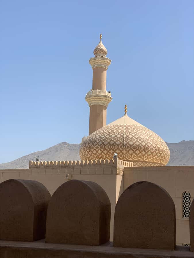 Nizwa: Nizwa Fort and Birkat Al Mouz Guided Tour - The air-conditioned ride from Muscat