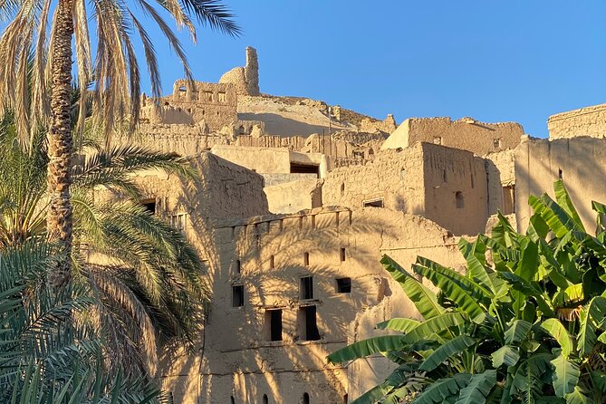 Old Nizwa and Akhdar Mountain with a local guide (private). - Is $280 good value for four people?