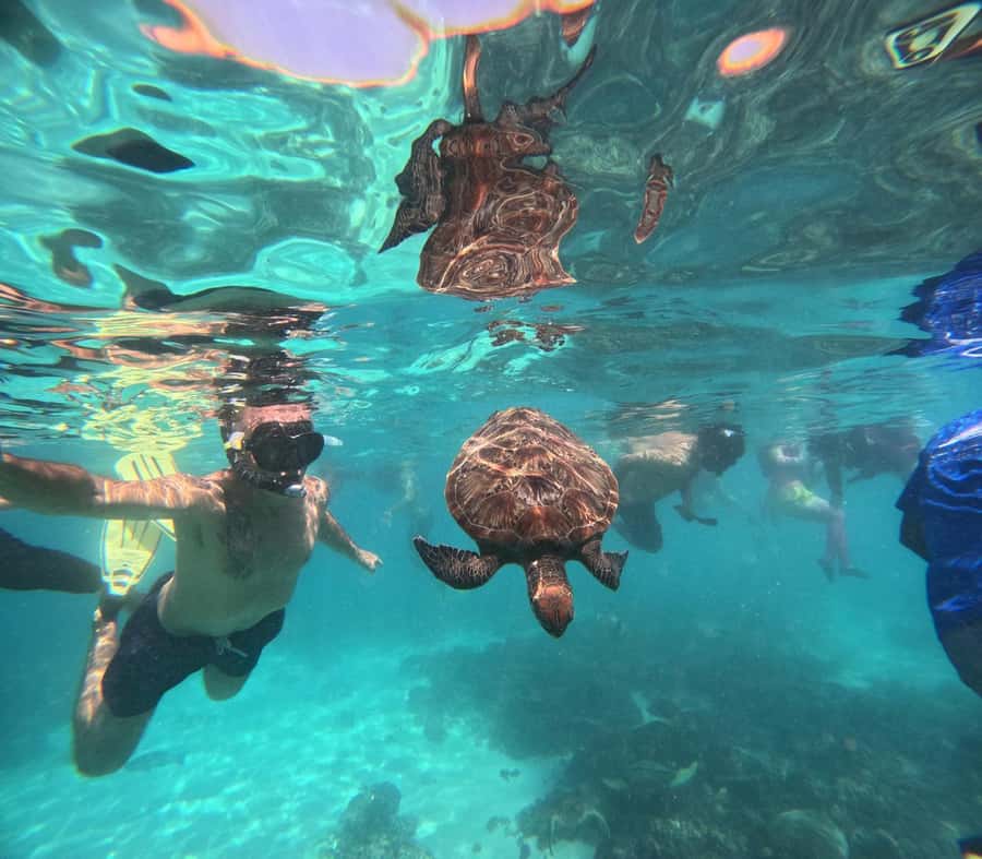 Oman: Daymaniyat Island Snorkeling Trip with Equipment - Starting at Al Mouj Marina at 8:15 AM